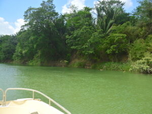 Monkey Boat on Belize River