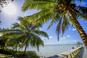 Why Belize is the Ultimate Ecotourism Destination |7