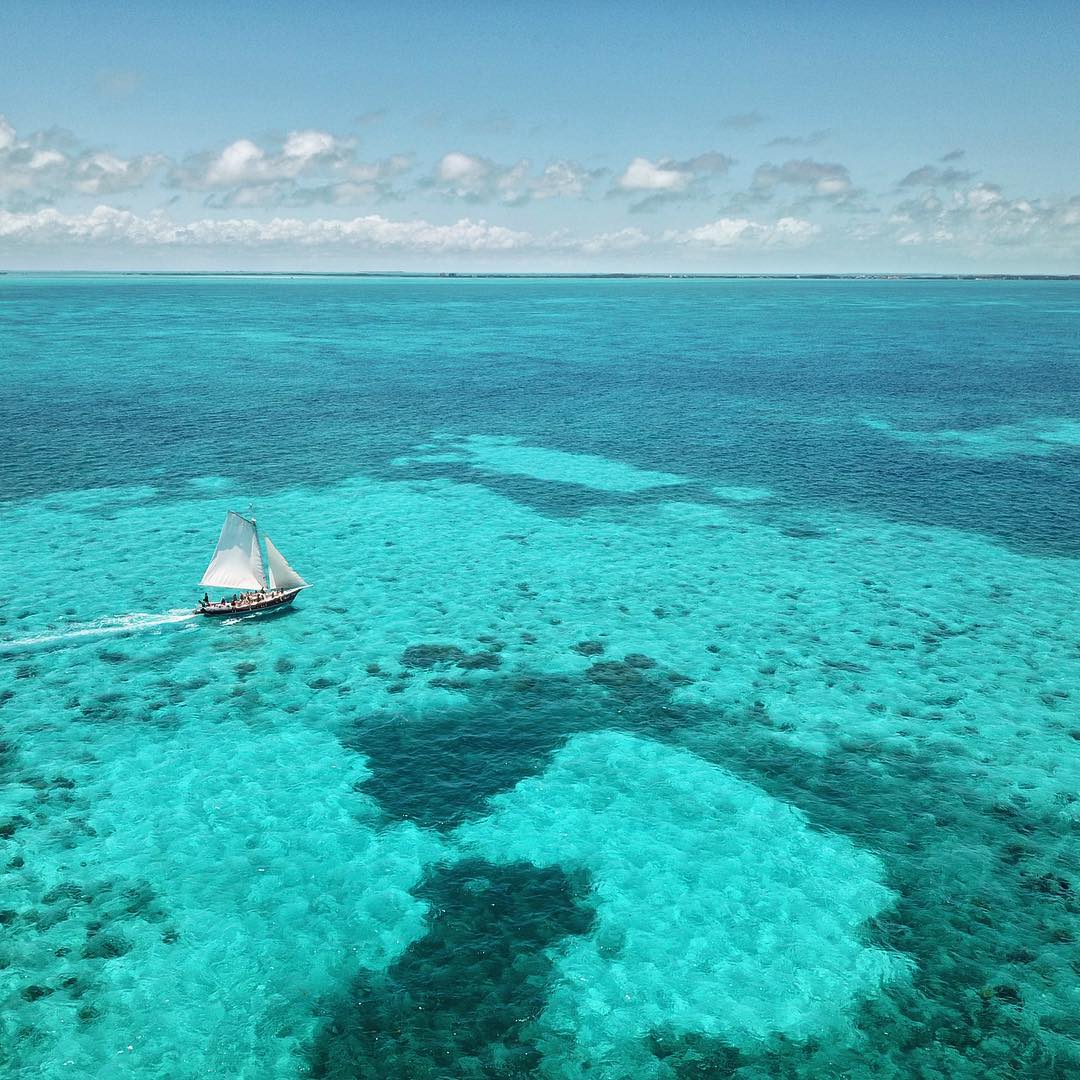 Belize Barrier Reef removed from UNESCO Danger List | 4