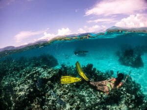 Top Places in Belize to Experience Marine Life  6