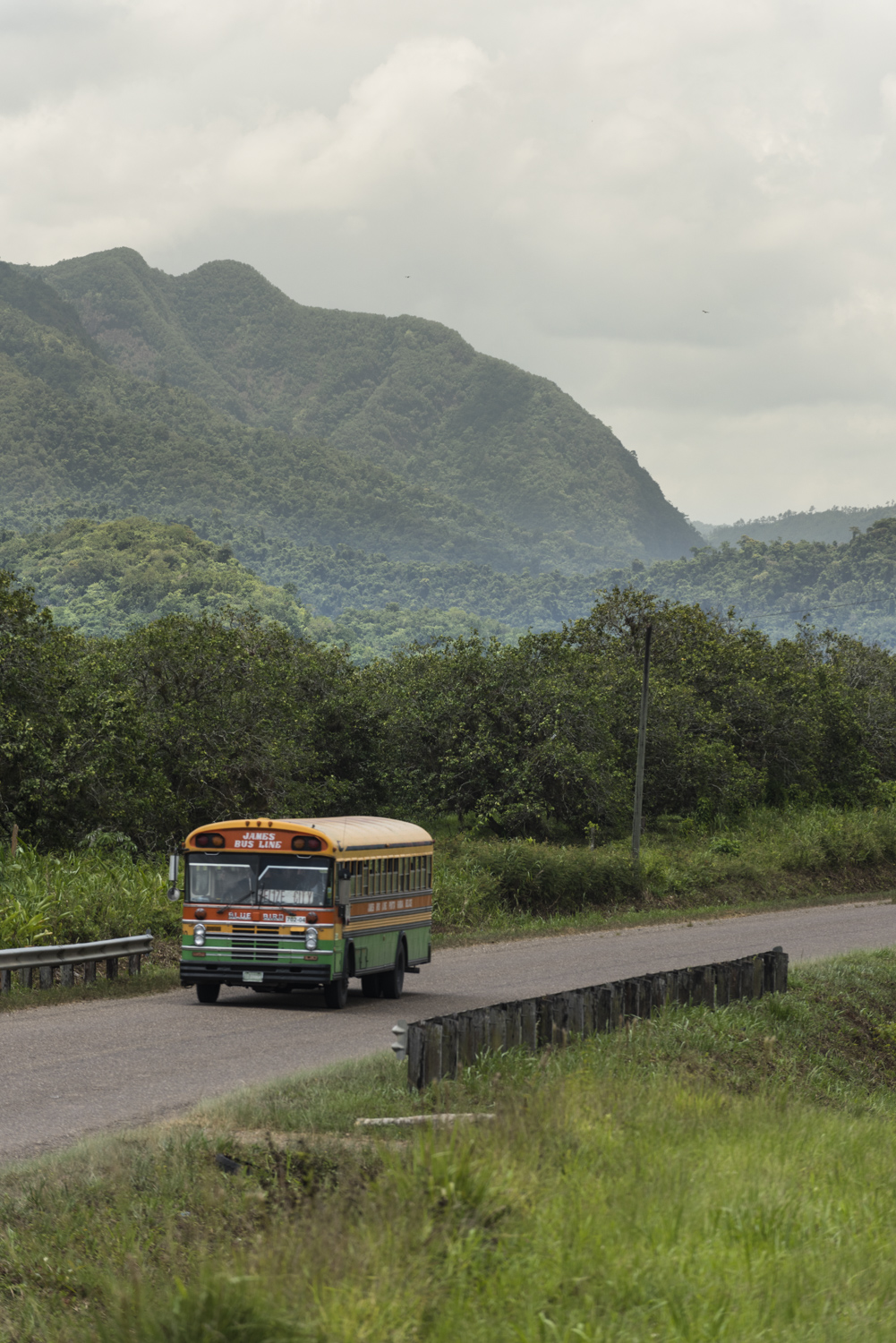 Hummingbird Belize's most popular photography spots according to Instagram