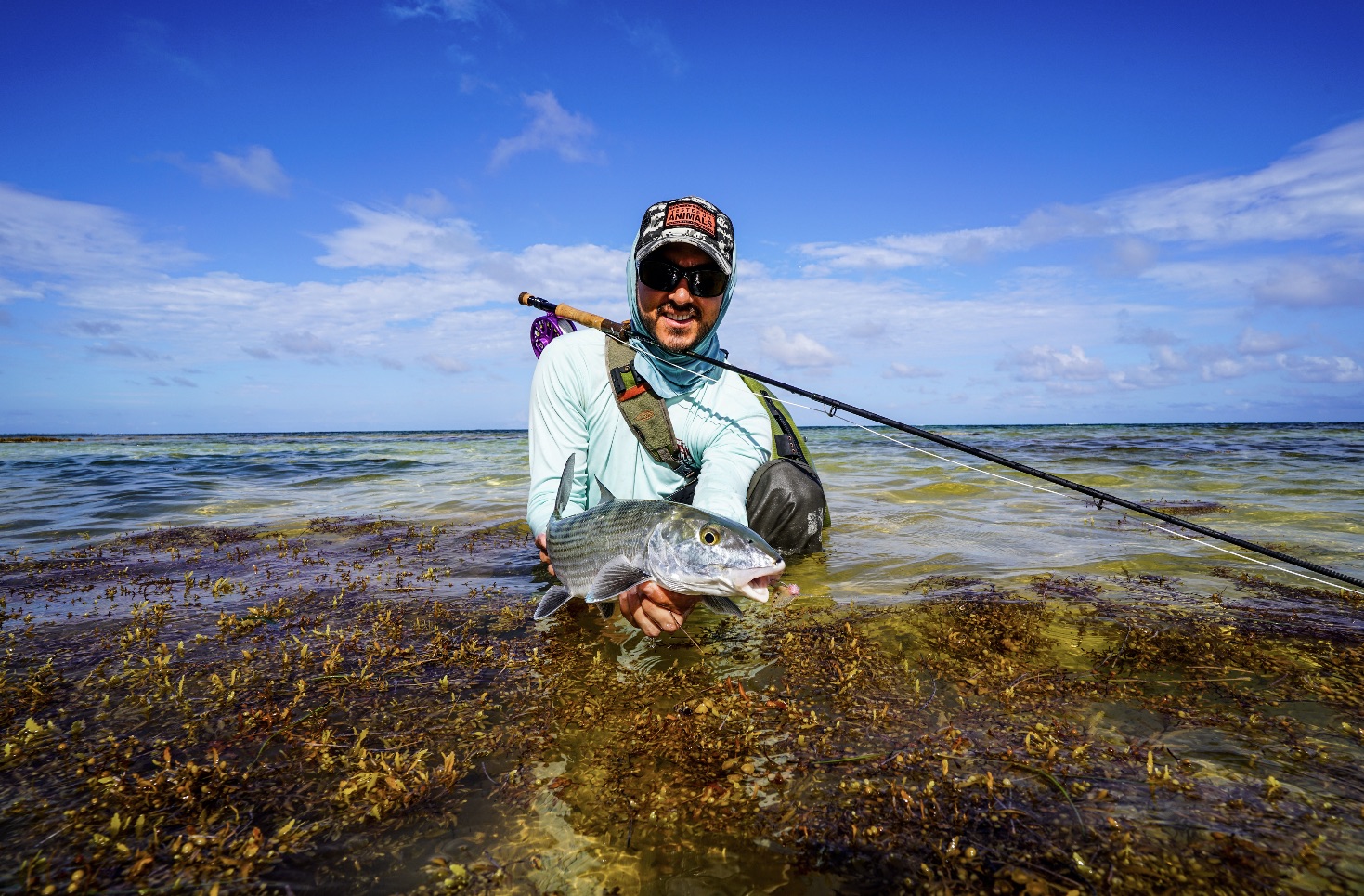 Fly-fishing in Belize Ambergris Caye | 0