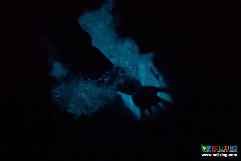 Bioluminescence Lagoon