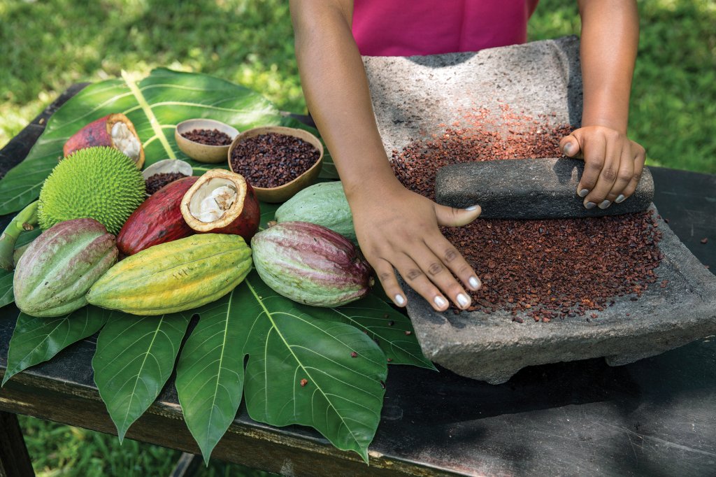 Traditional Mayan Chocolate Making