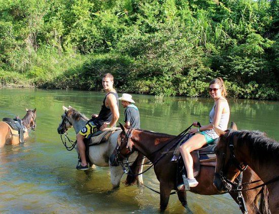 Jungle Horseback Ride